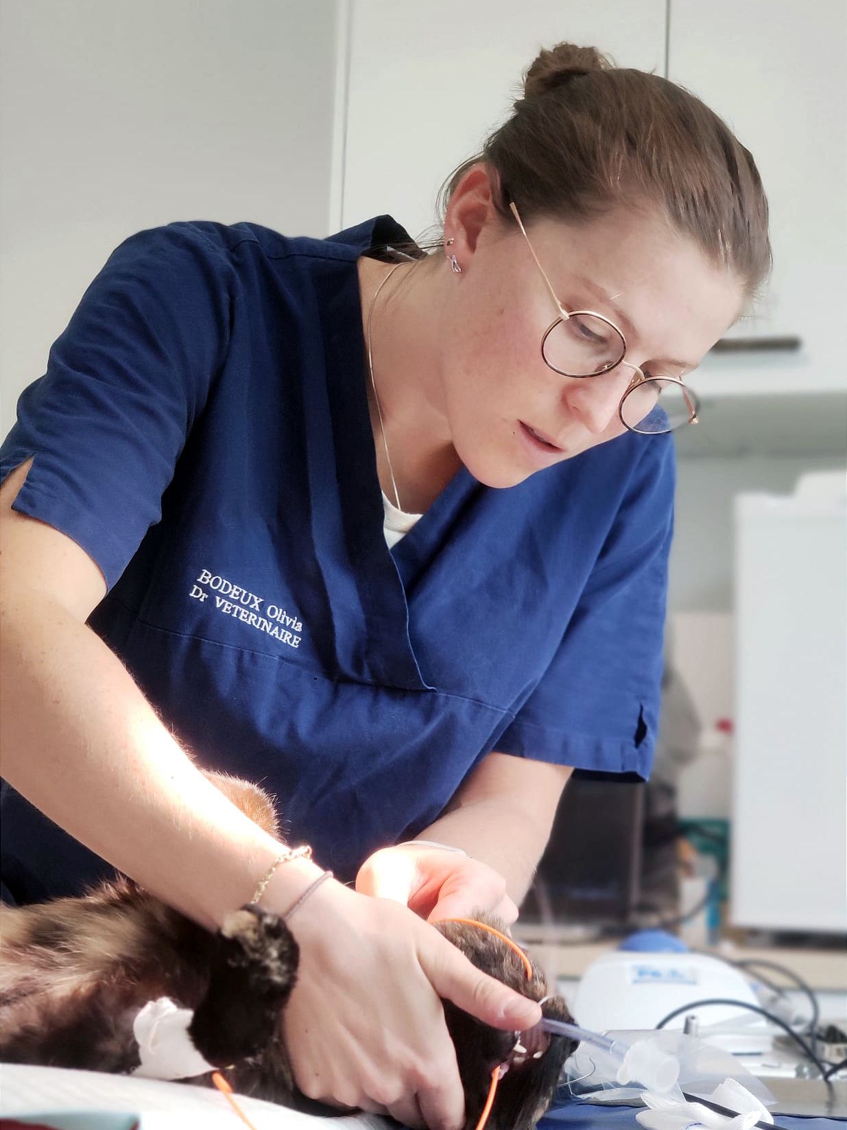Dr. Olivia Bodeux déplaçant délicatement un chat